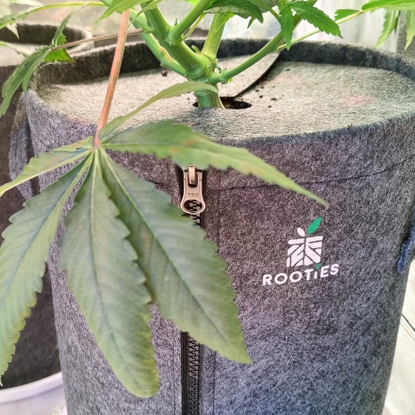 15l Stofftopf "High Edition" mit Reißverschluss