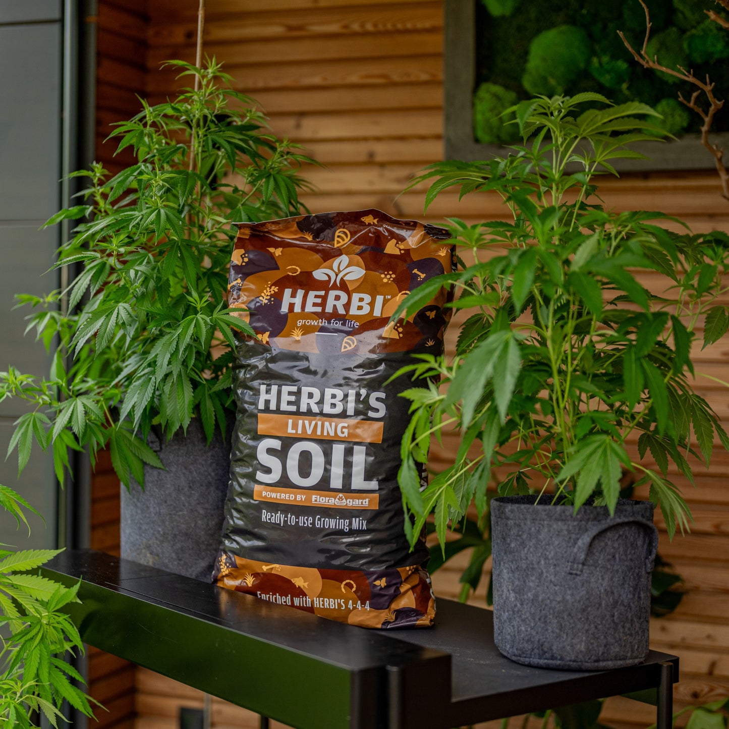 Herbi's Living Soil