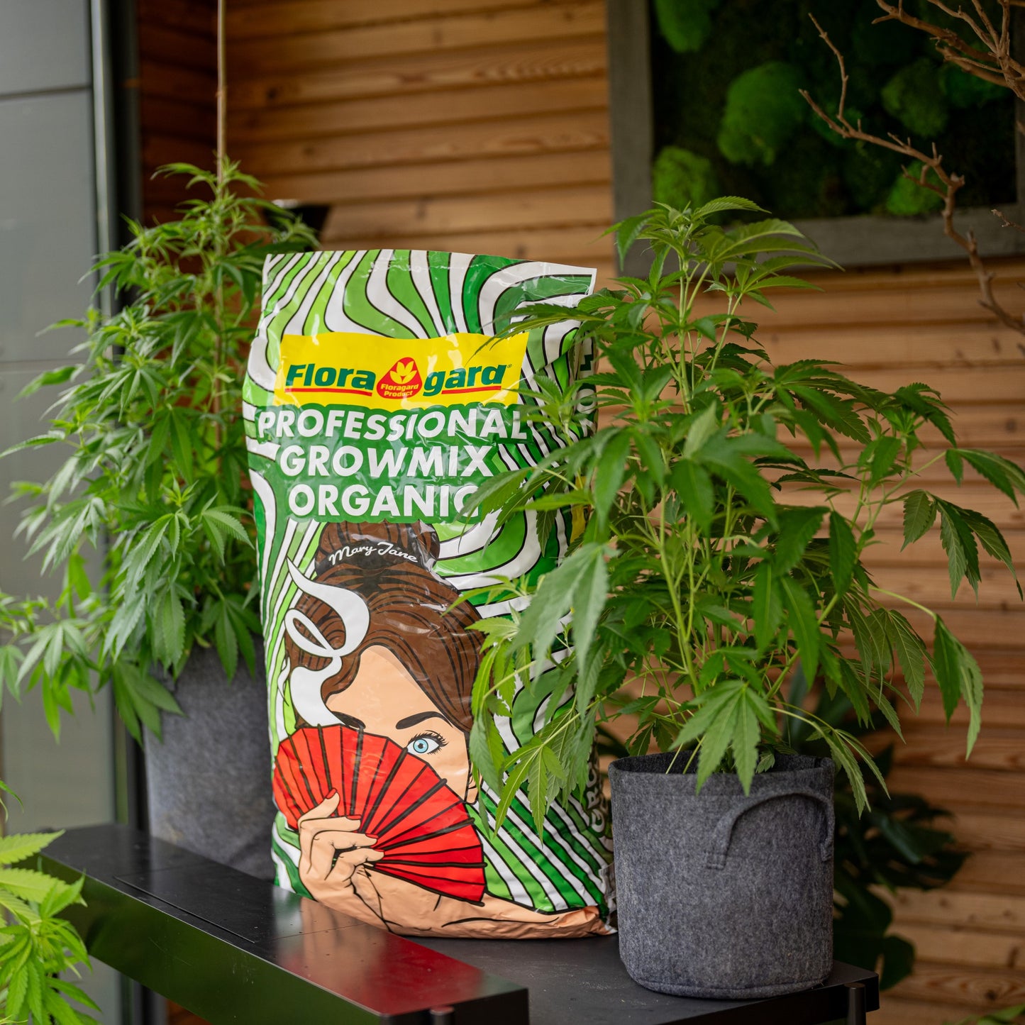 Floragard Professional Growmix Organic