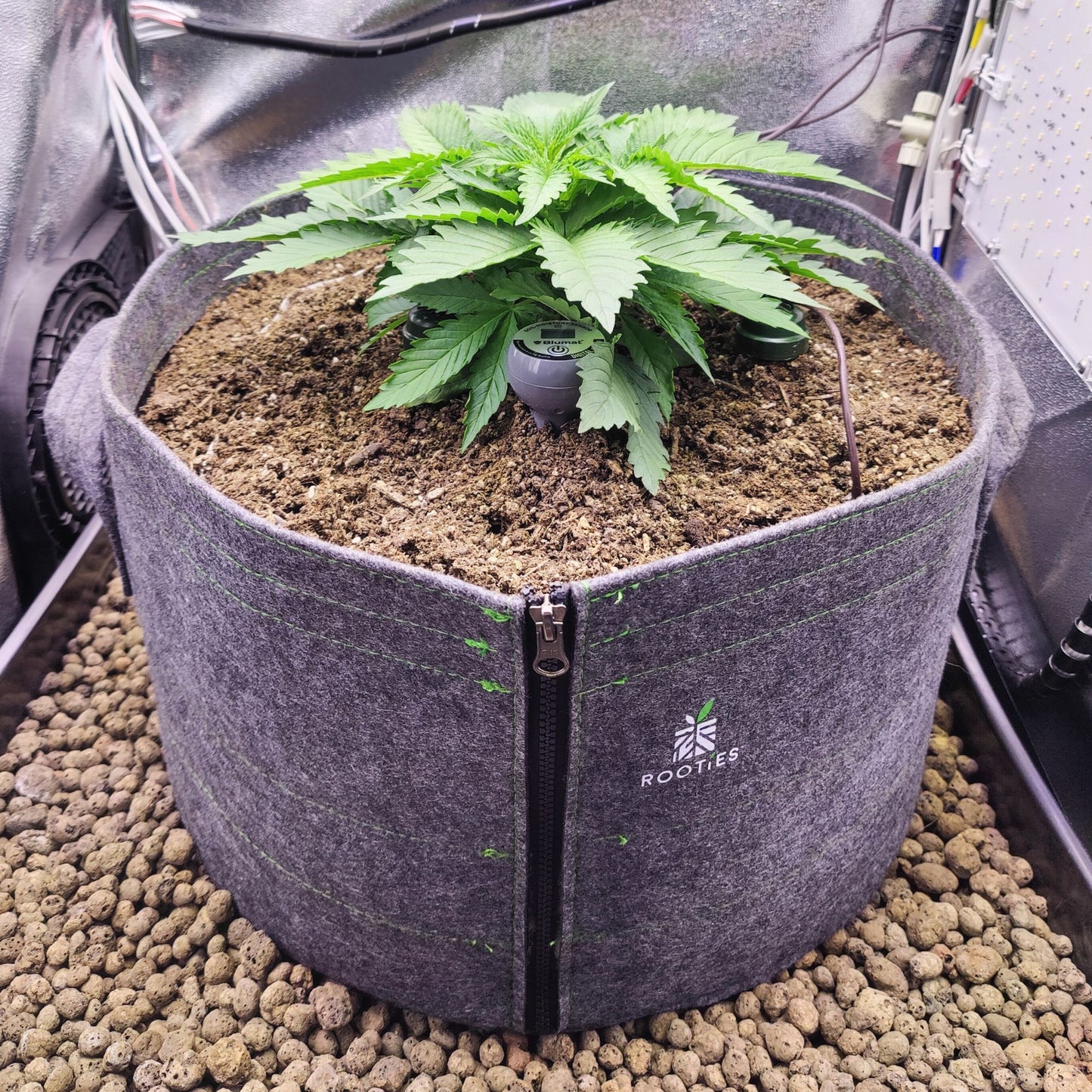 40l Living Soil Topf