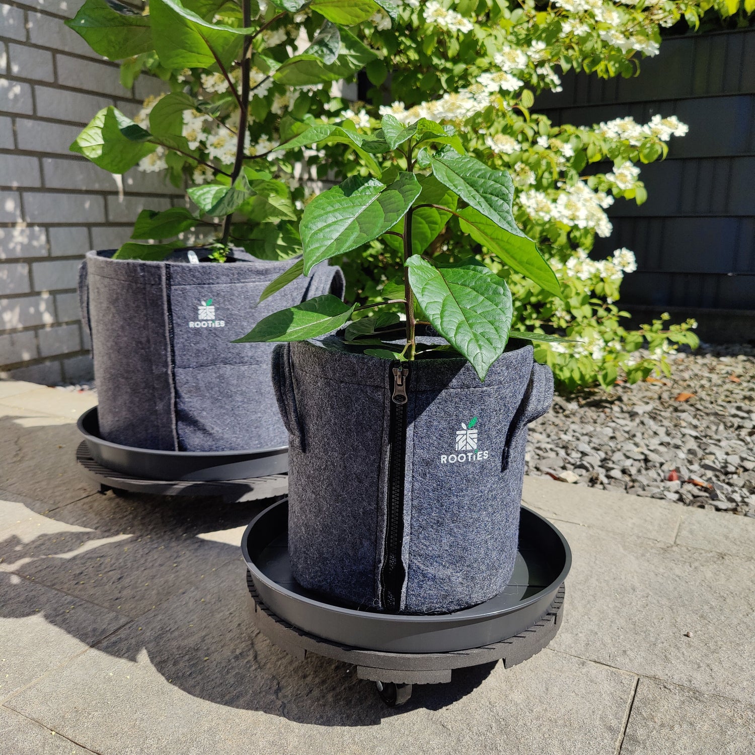 Untersetzer & Roller